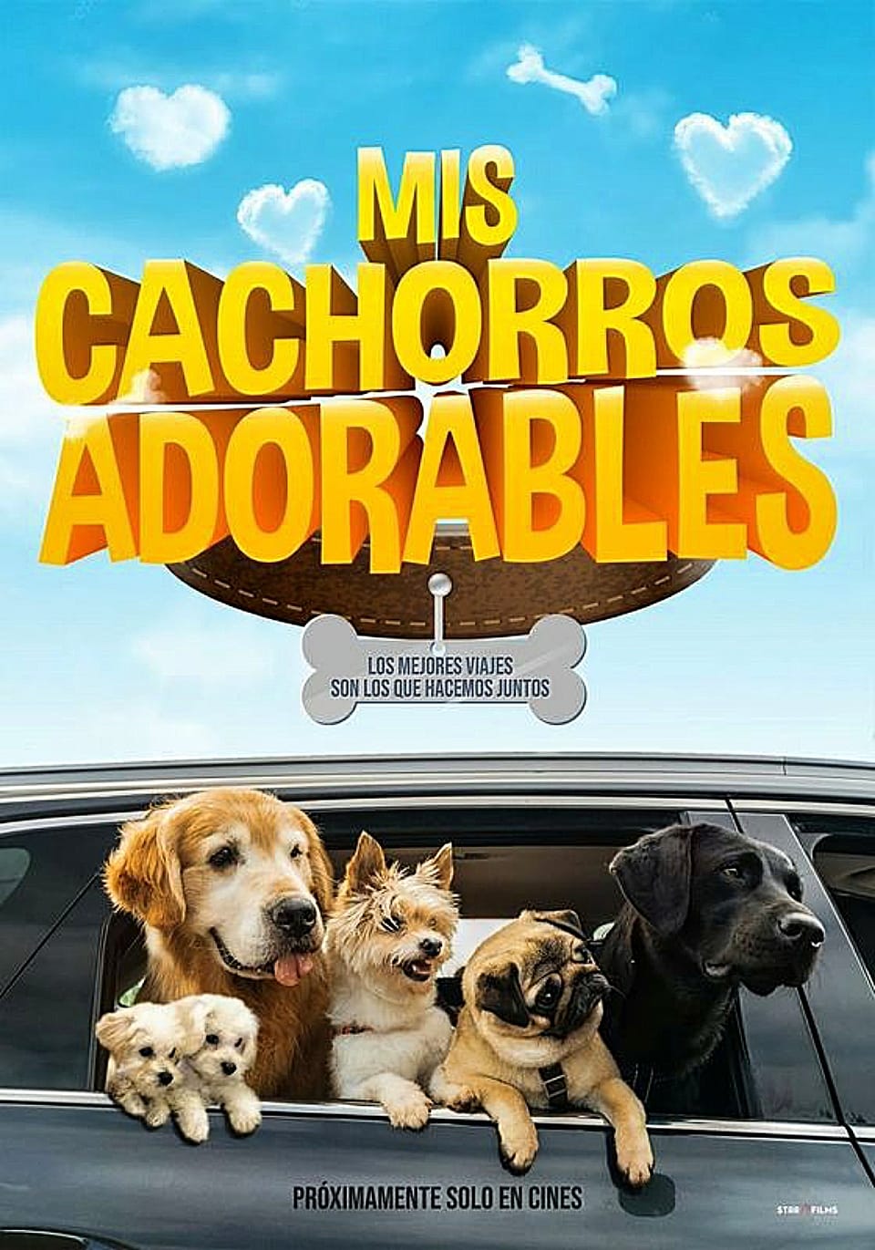 Mis cachorros adorables