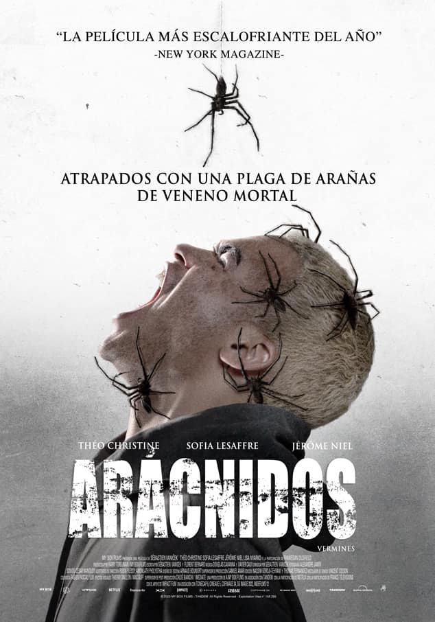 Arácnidos