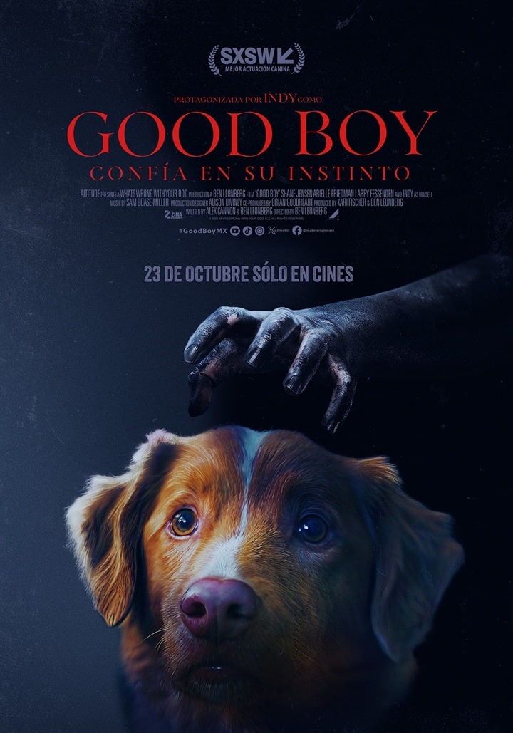 Good Boy