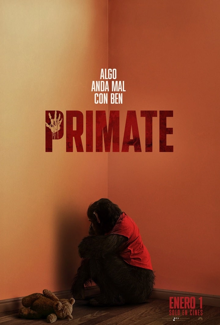 pelicula