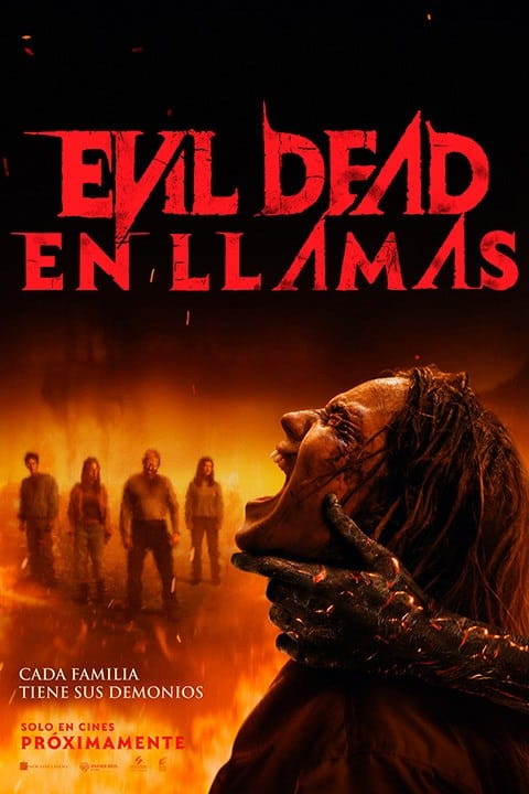 pelicula