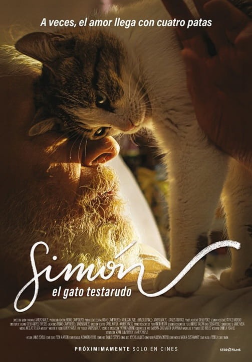 pelicula