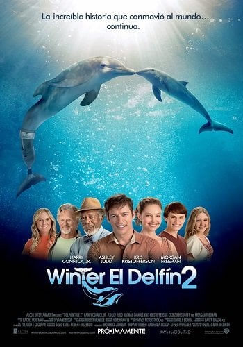 Winter el delfín 2