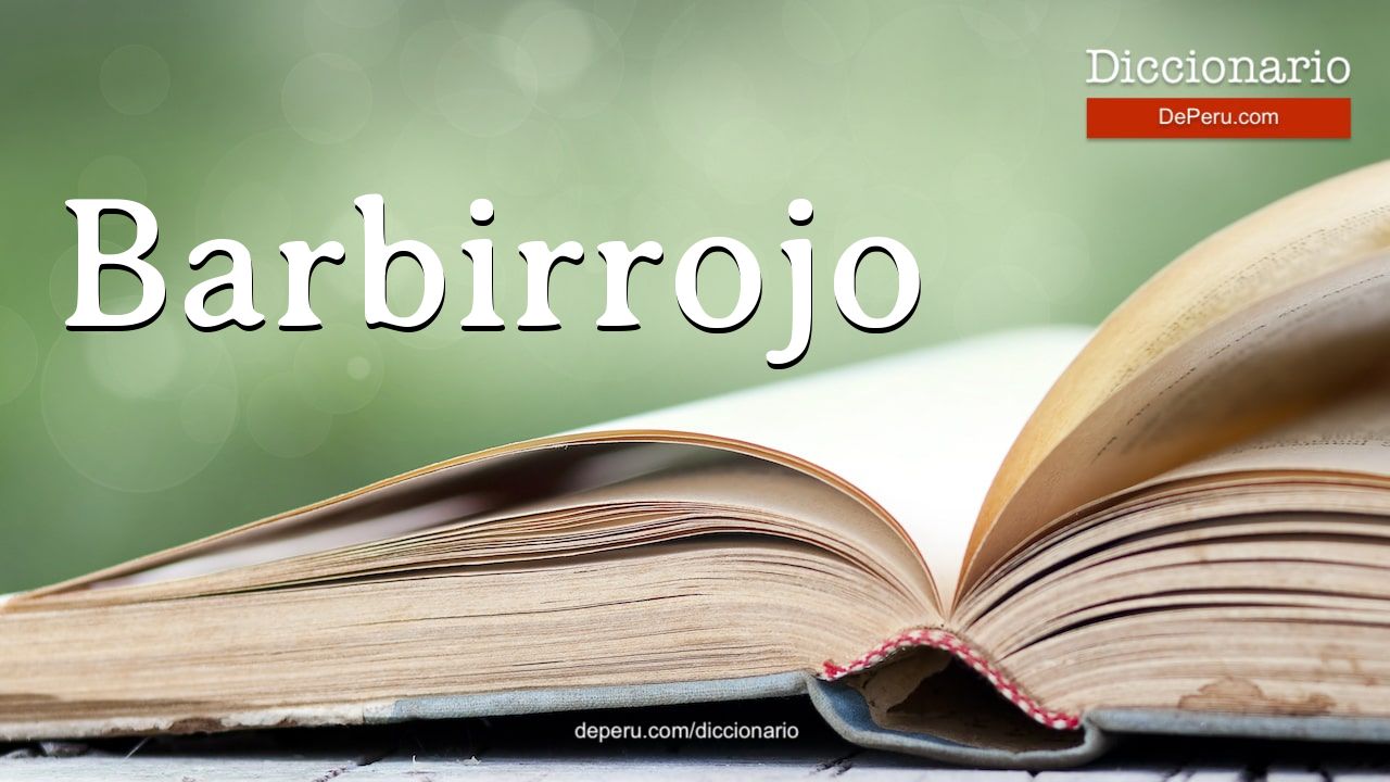 Barbirrojo