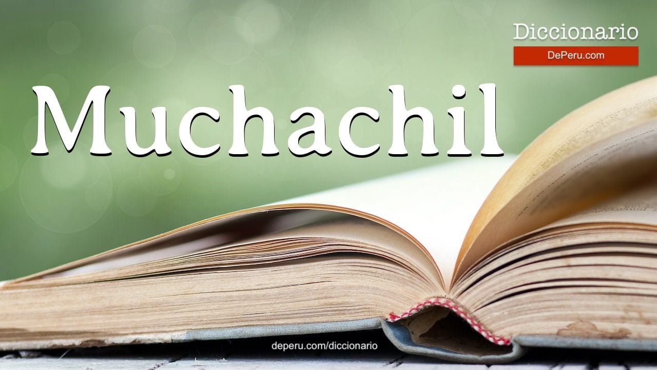 Muchachil