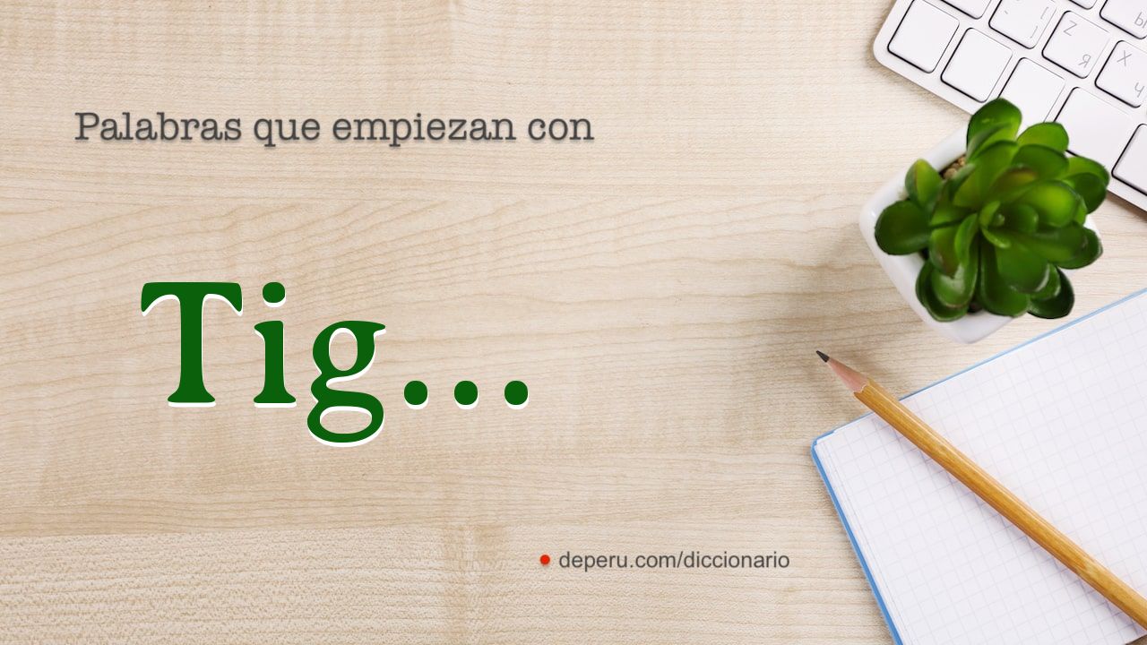 palabras del diccionario con TIG