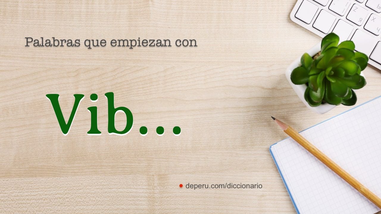 palabras del diccionario con VIB