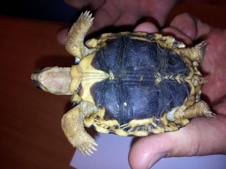 fotonoticia