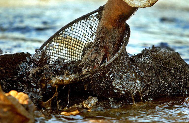 ONU - Israel - Líbano - guerra - medioambiente - contaminación