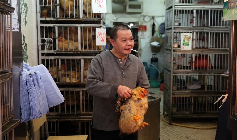 China - salud - gripe - aviar