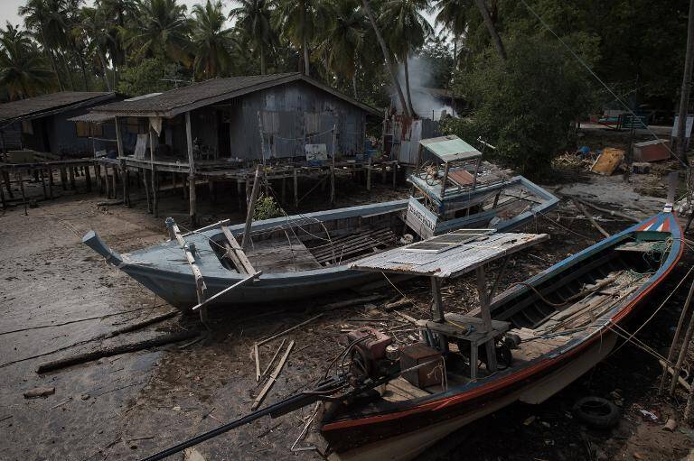 medioambiente,ONU,FAO,tsunami,agricultura,alimentacion