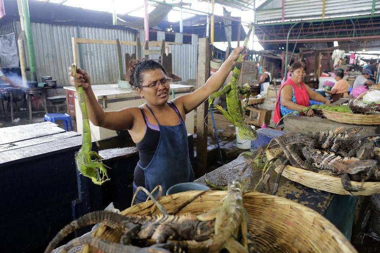 Nicaragua - salud - alimentos - clima - animales