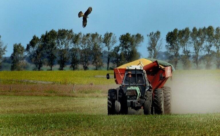 materias - primas - EEUU - granos - agricultura