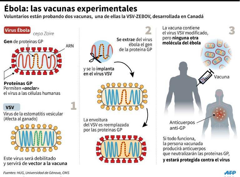 noticia