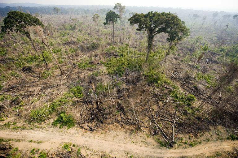 Brasil - medioambiente - agricultura - policía - Amazonas