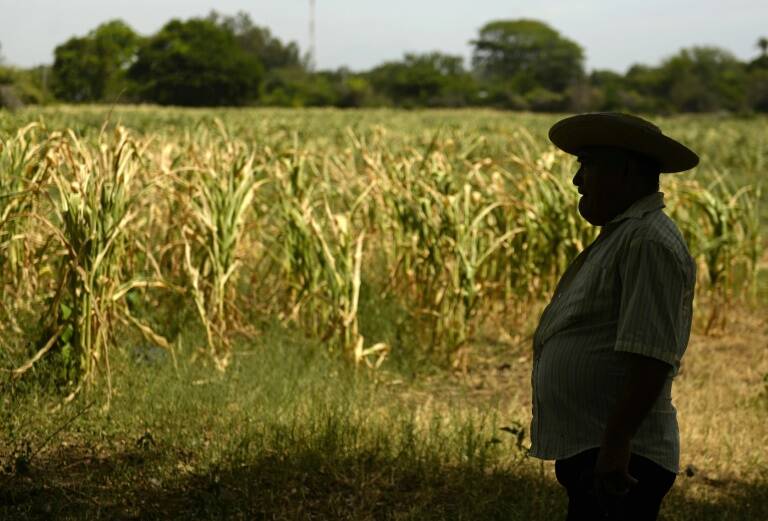 ElSalvador - sequa - clima - agricultura - comercio