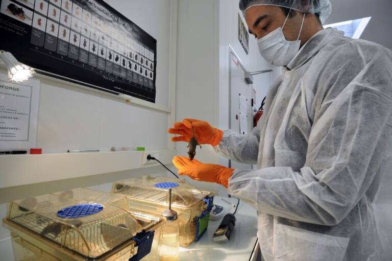 medicina - EEUU - salud - enfermedad - prevención - animales - ciencia