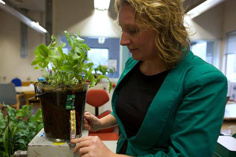 Holanda - biología - agricultura - medioambiente - energía - electricidad