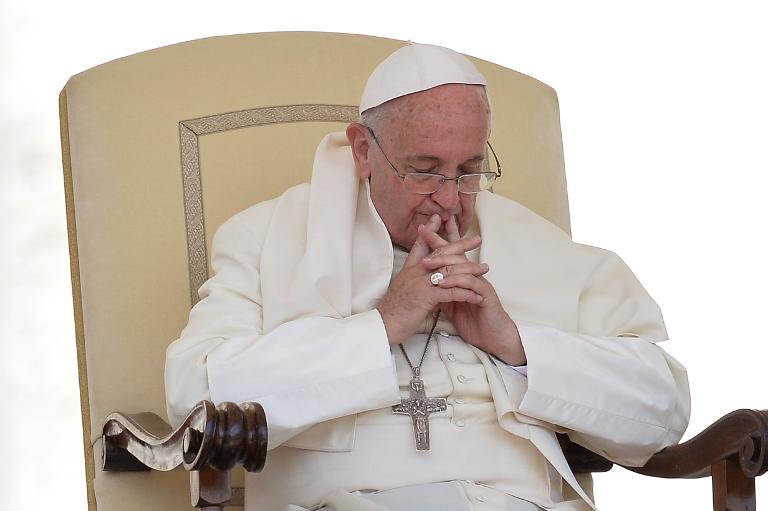 religión - Papa - Vaticano - clima - medioambiente