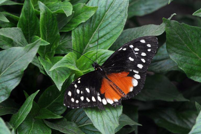 fotonoticia
