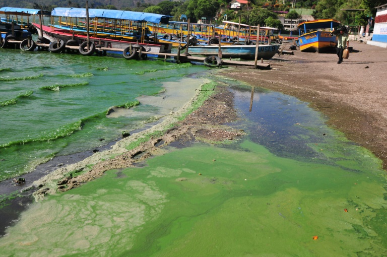 Guatemala - medioambiente - alga - lago - turismo