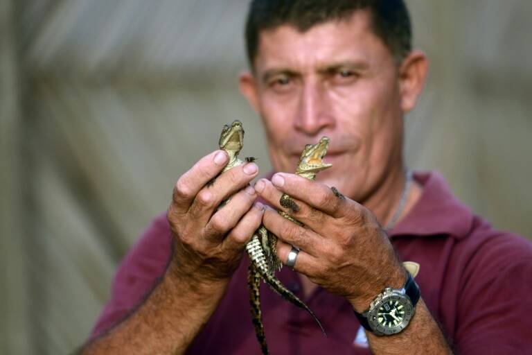 ElSalvador,medioambiente,fauna