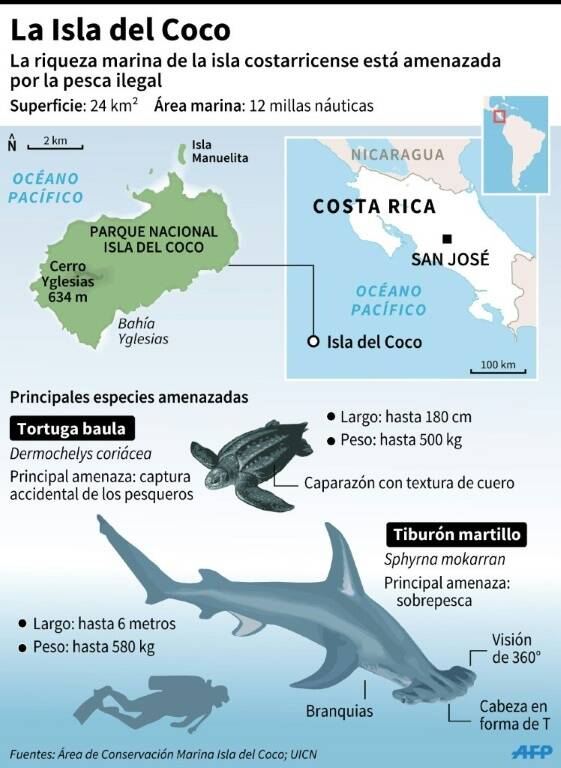 noticia