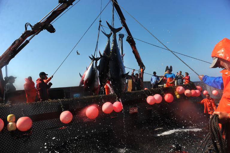 España,pesca,tradición