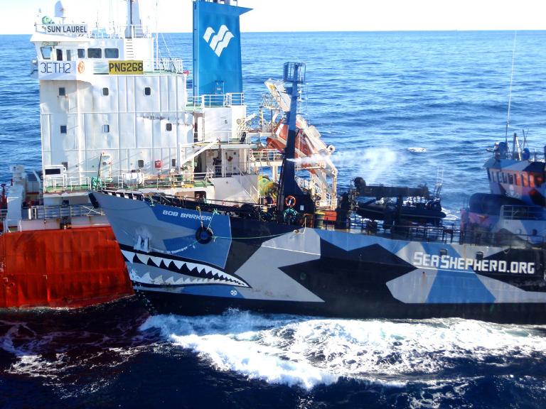 Japón - EEUU - ballenas - caza - medioambiente