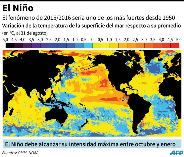 noticia