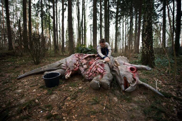 EEUU,Canadá,paleontología,Ciencia