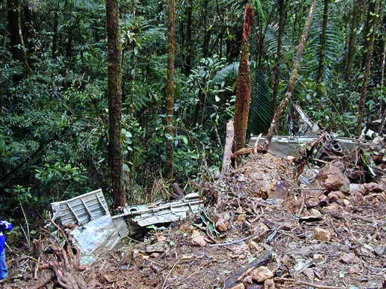 Panam - medioambiente - contaminacin - bosques