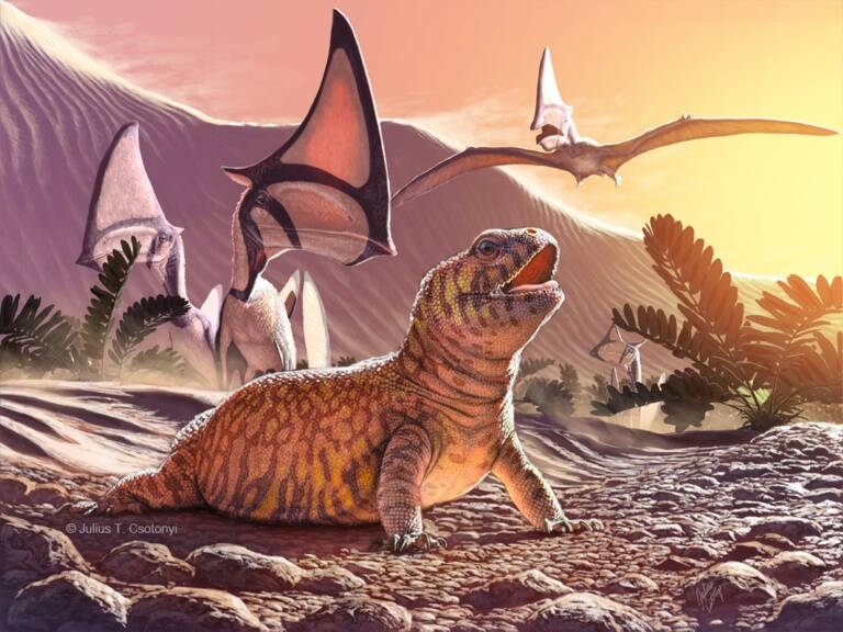 Brasil - paleontología - ciencias