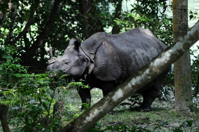 Sudáfrica - medioambiente - zoología