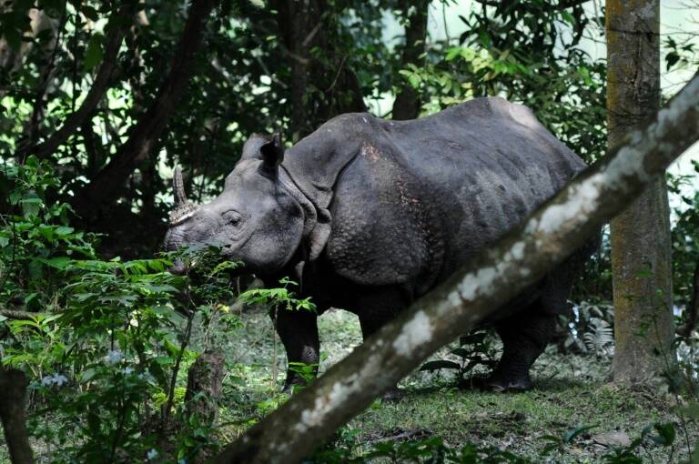 Sudfrica - medioambiente - zoologa