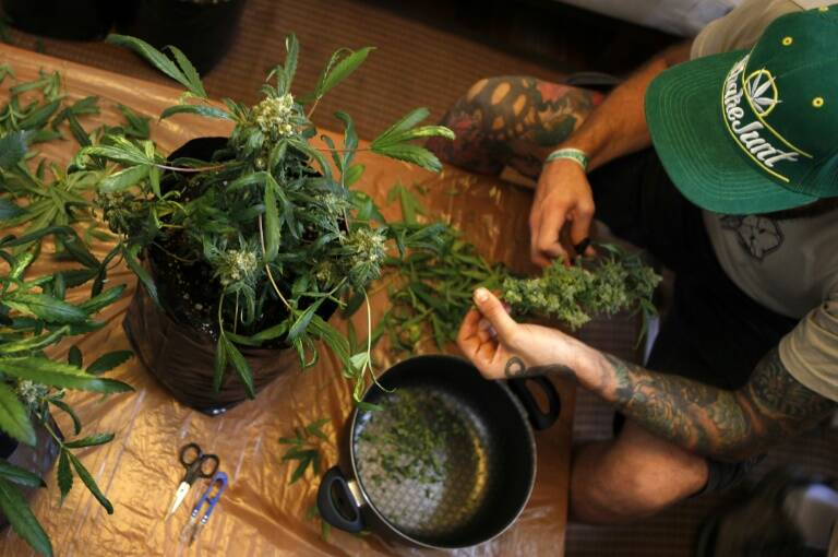 Uruguay - marihuana - drogas - política - comercio - ocio - sociedad