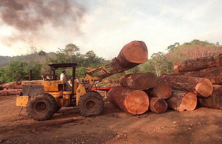 Panam - bosques - medioambiente