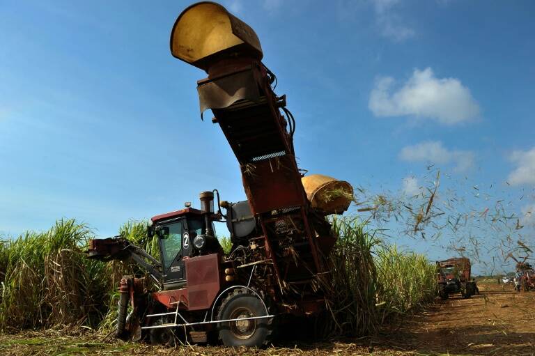 Brésil - matières - mercado - premières - sucre - alimentaires - materias - primas