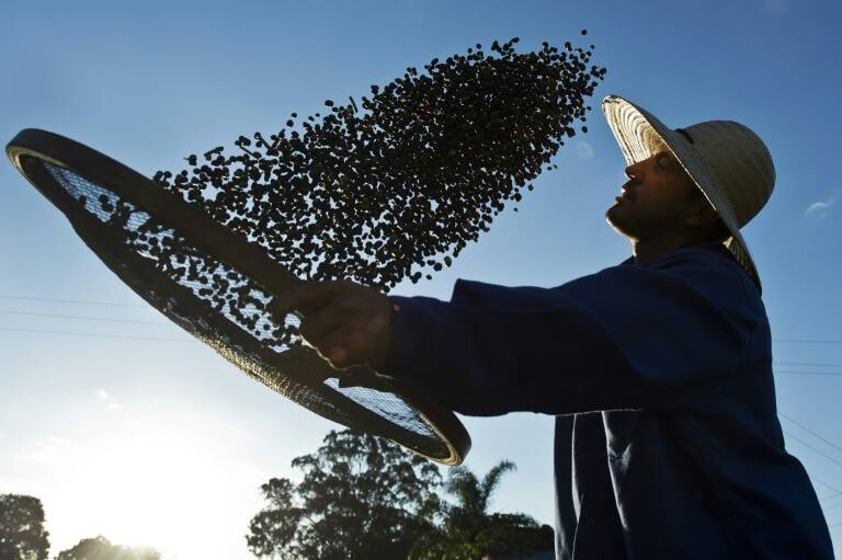 materias,primas,Brasil,caf,azcar,cacao