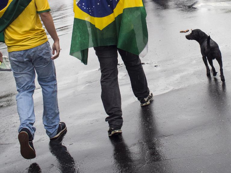 Brasil - animales - sociedad - inslito
