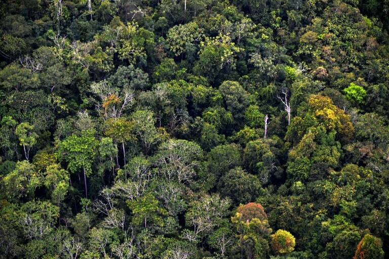 noticia