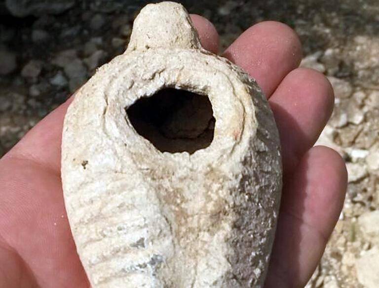 arqueología, insólito, Israel, animales