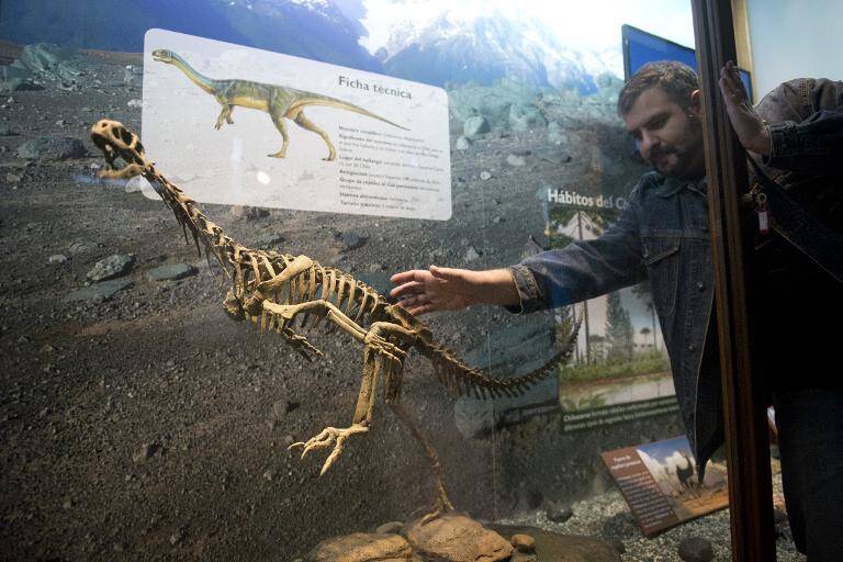 Argentina - Chile - dinosaurios - paleontología - zoología - animales - ciencias