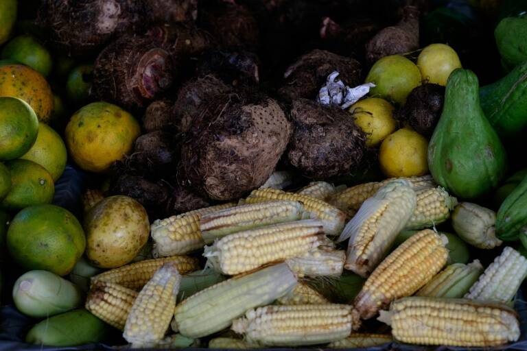 Brasil - agricultura - FAO - OCDE - alimentos - economía