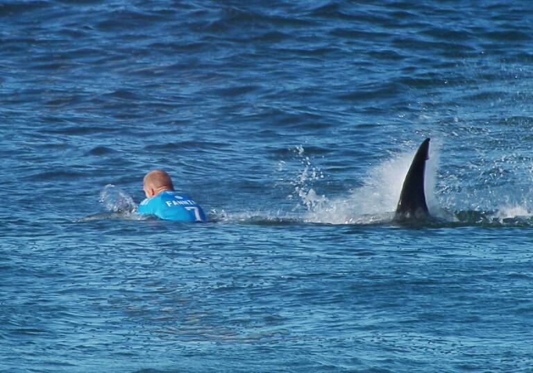 surf,RSA,AUS