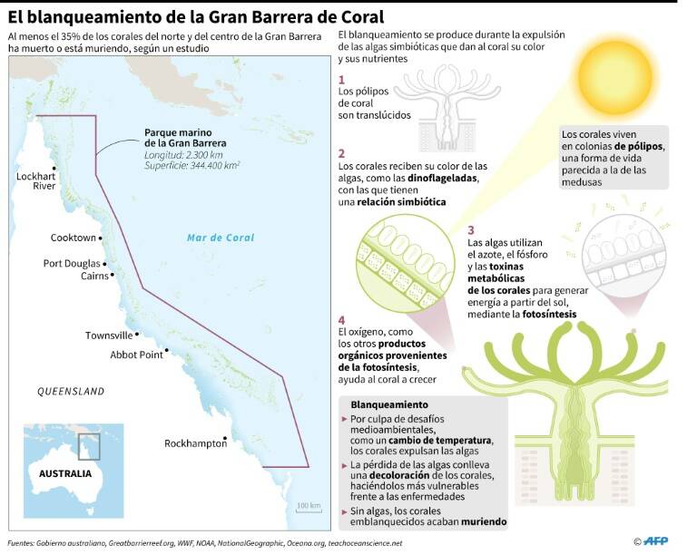 noticia