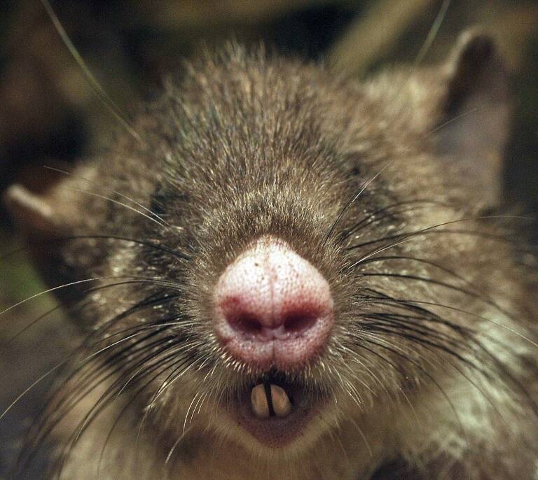 fotonoticia