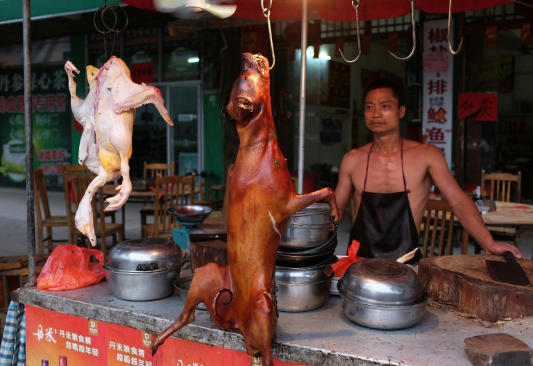 China,cultura,perros,gastronoma,animales
