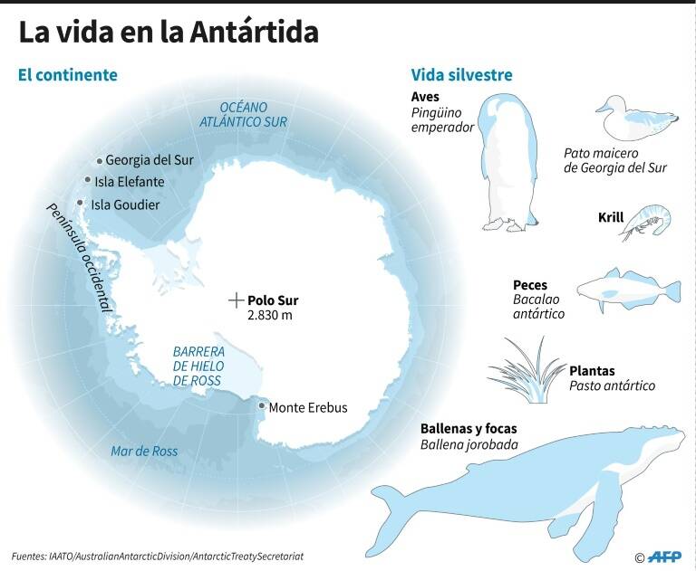 noticia