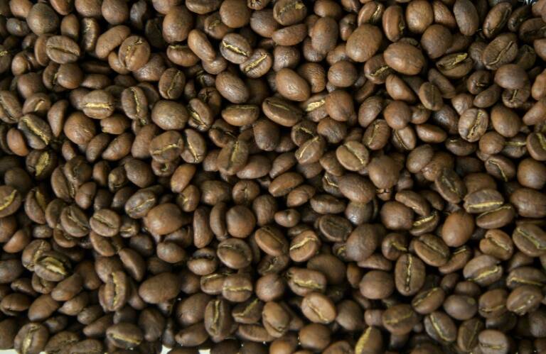 Colombia - agricultura - café - conflicto - paz
